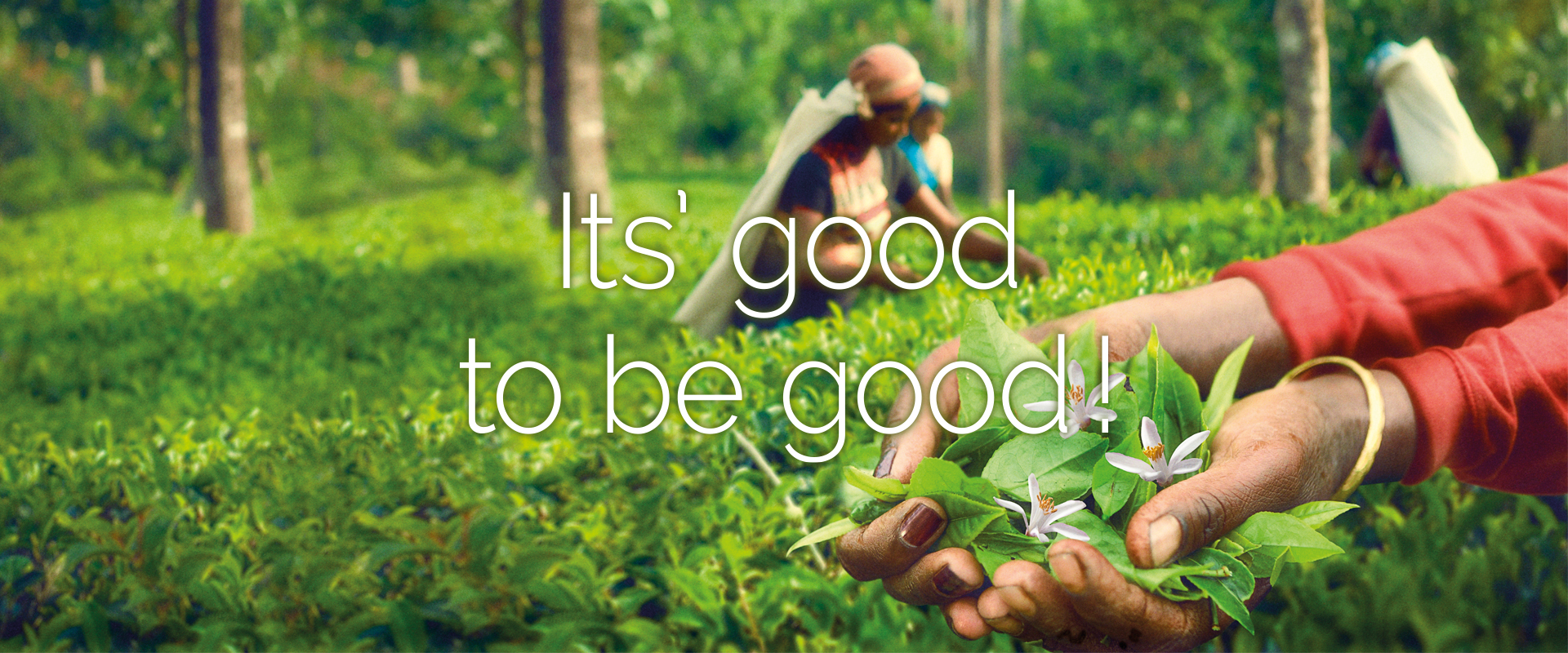 It's goog to be good!